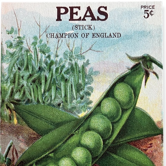 Cavallini & Co. Victory Garden Collection Seed Packet Postcard Set of 3 - NWT - Picture 7 of 9